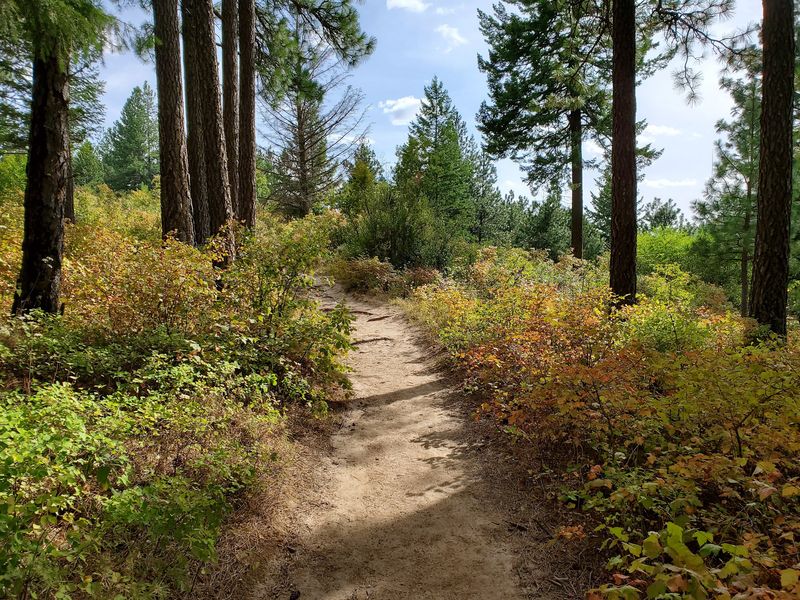 Plan Your Perfect Fall Visit
