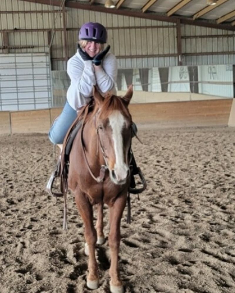 Dexter, Missy, and the Lesson Horse Lineup
