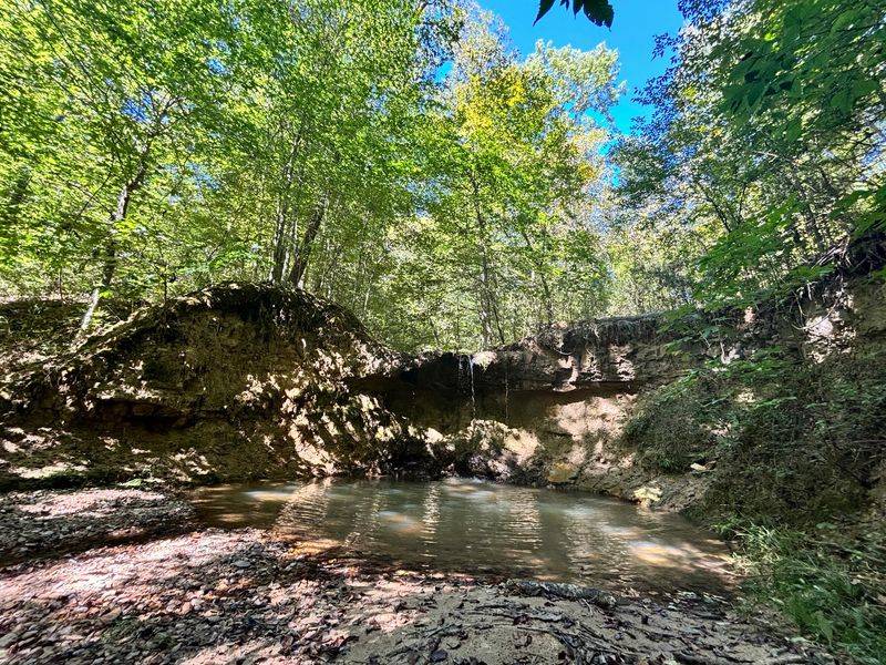 Rocky Springs Trail, Hermanville, MS