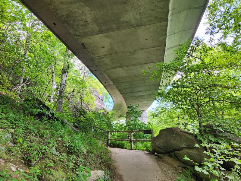Concrete That Blends With The Mountain