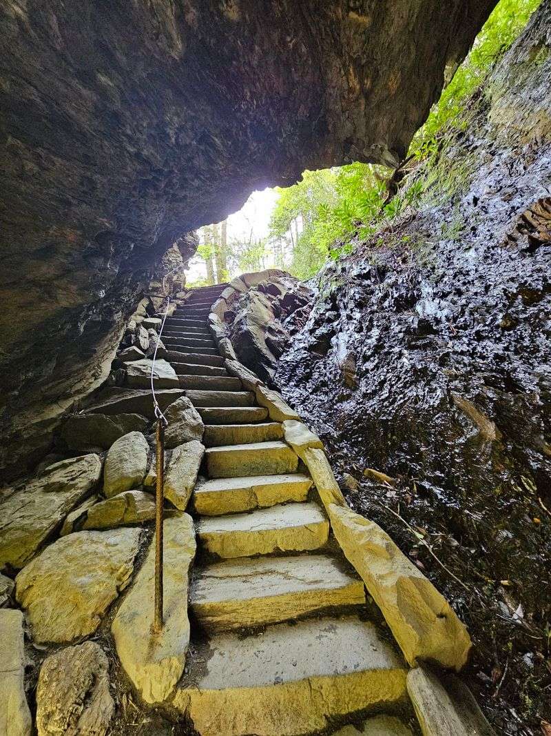 Alum Cave Trail