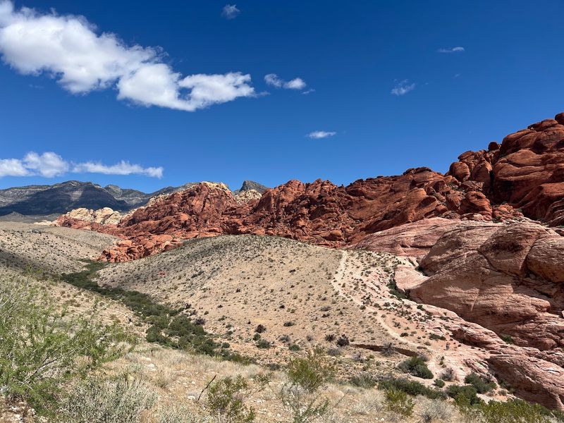 Red Rock Canyon NCA Scenic Drive Bureau of Land Management