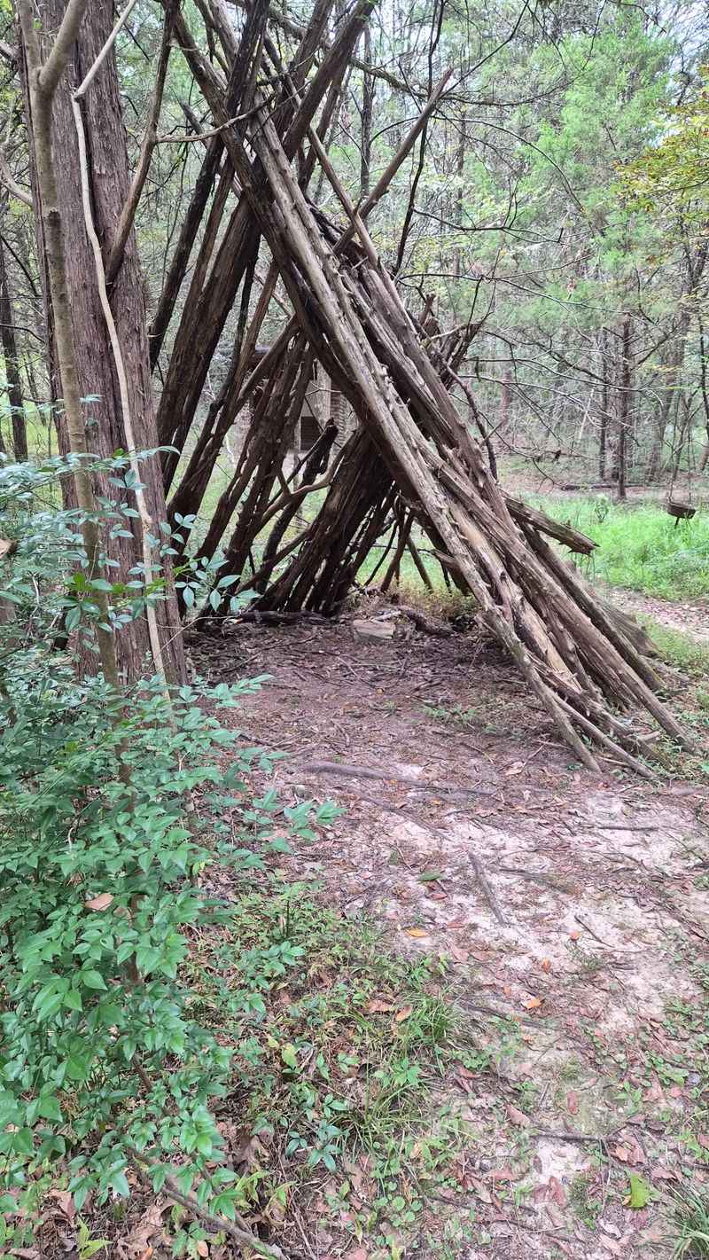 Mud Pies, Splash Zones And Woodland Play