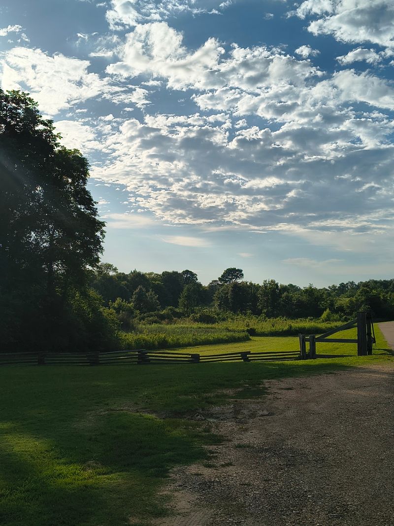 Chickasaw Village Site