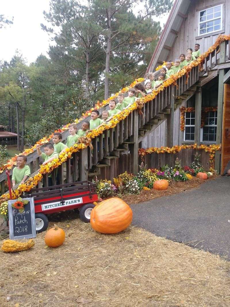 Mitchell Farms Peanut Farm open Aug- Oct and Pumpkin Patch open Sept 27-Nov 2; Sat 9-6 and Sun 1-5, Collins, MS