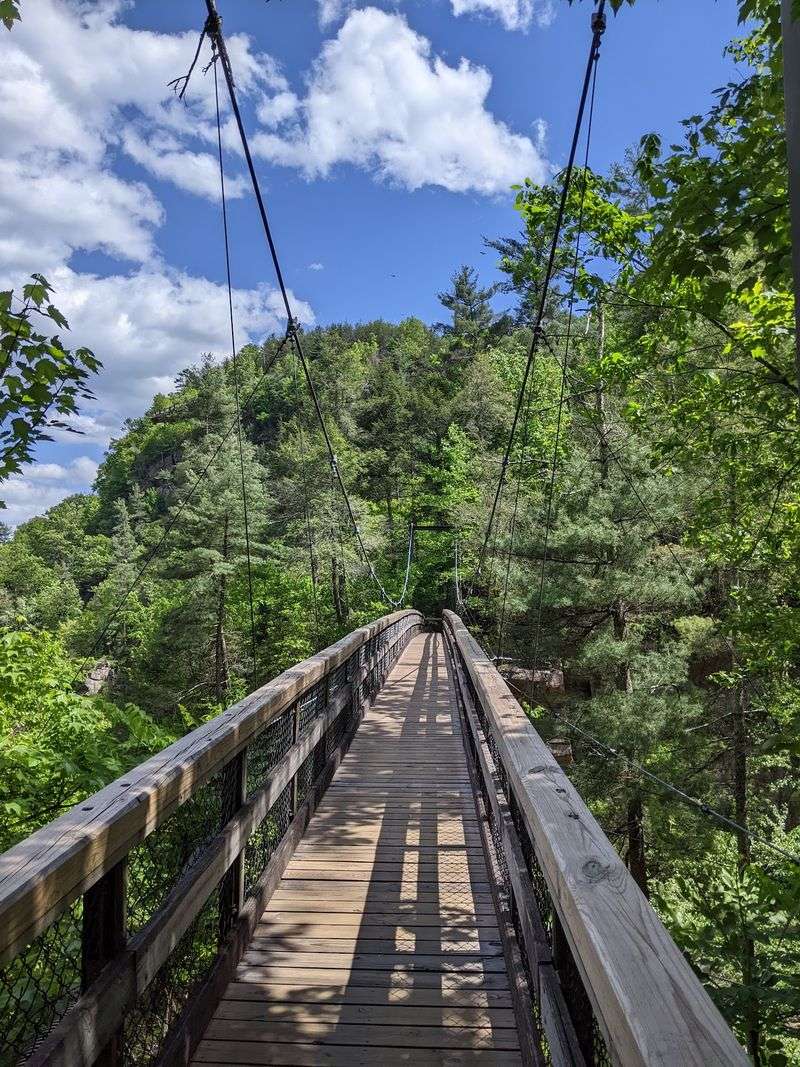 Adventures For Thrill-Seekers And Little Explorers