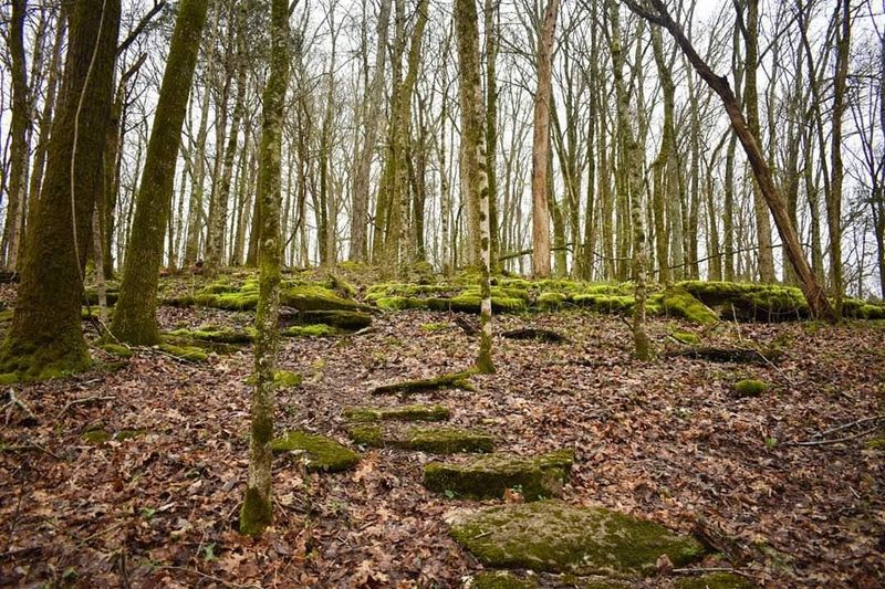 Trails That Will Test Your Calves