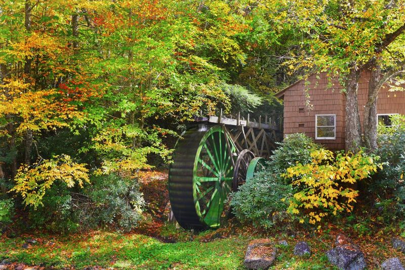 Roan Mountain State Park, Roan Mountain