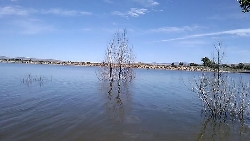 Walleye, Wipers, And A Catch-And-Release Rule