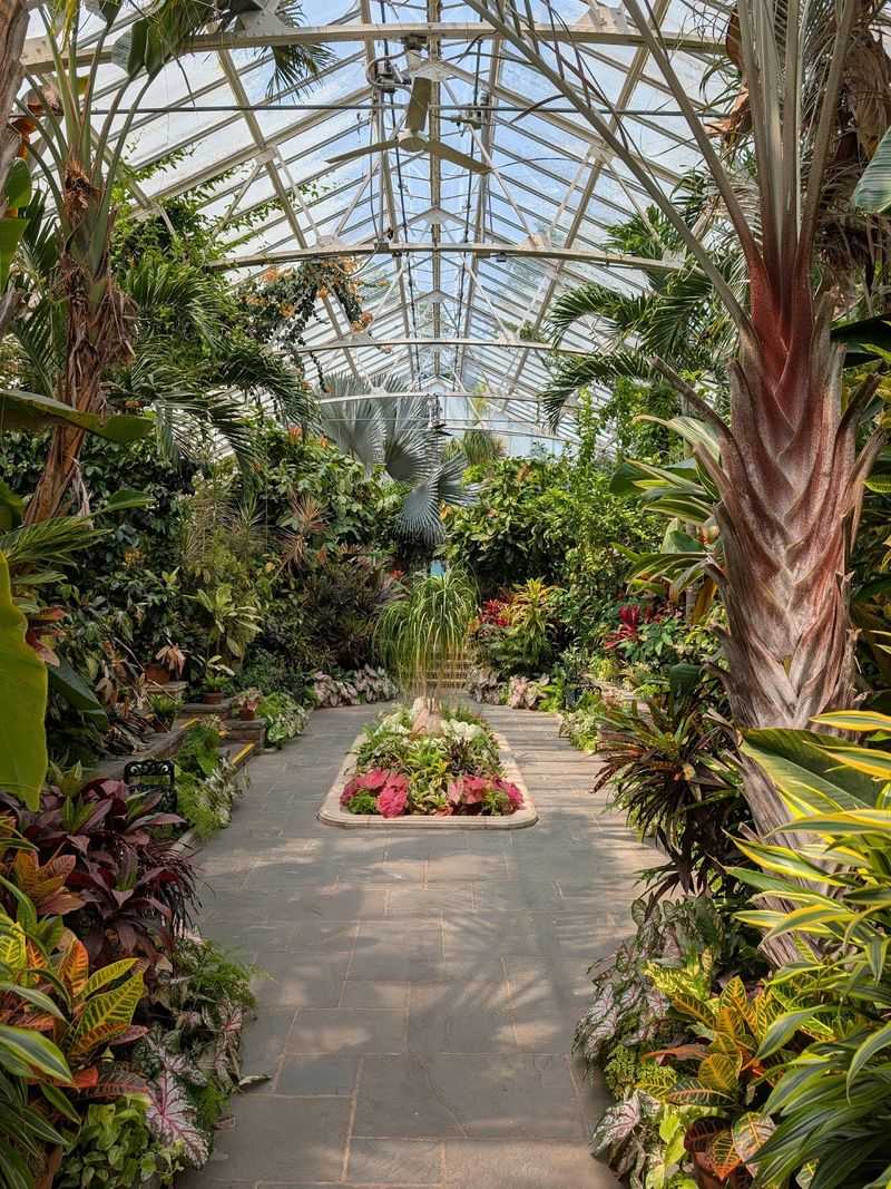Tropical Escape Under Glass