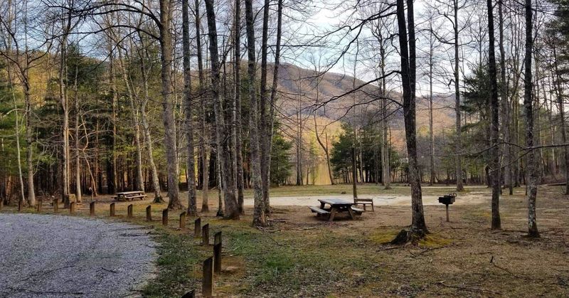 Campsites That Put You Steps From The Shore