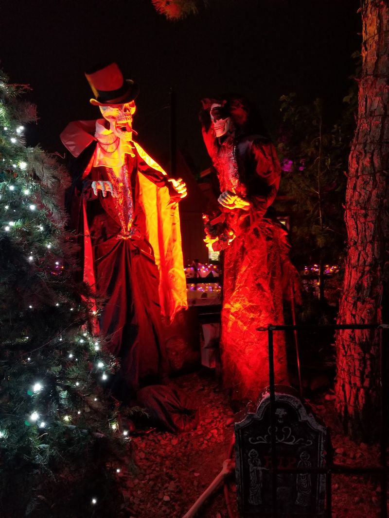 A Haunted Path Of Friendly Frights