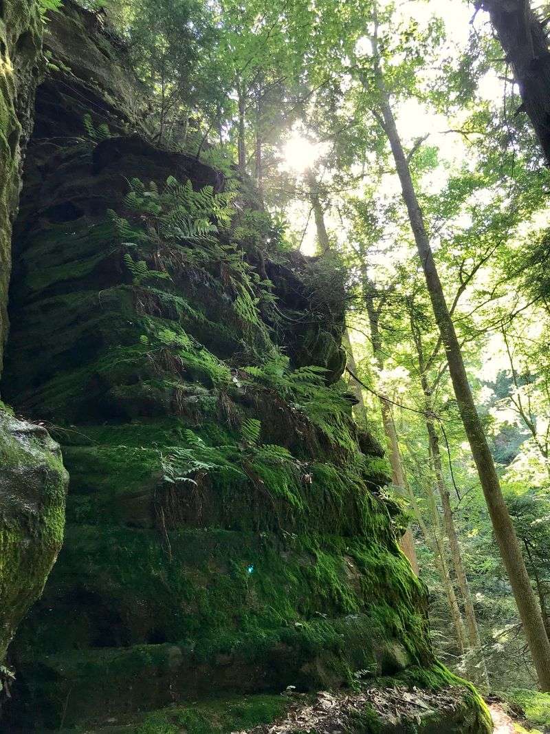 A Remote Edge of Hocking Hills State Park