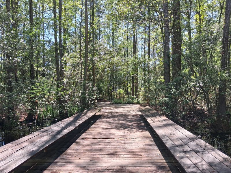 Three Miles of Trails Through Savanna, Woodland and Water