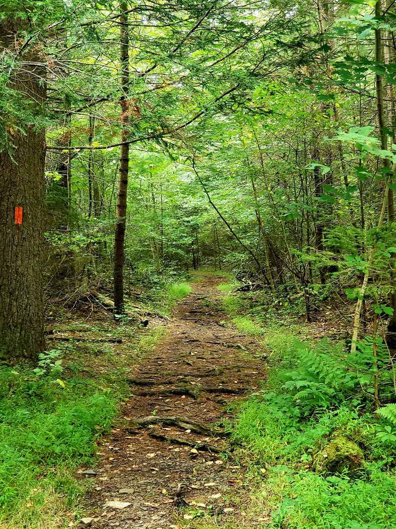 Trails That Climb, Wind, And Wander