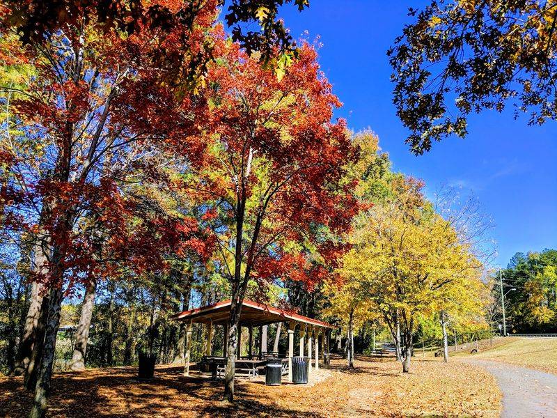 Turn One Stroll Into A Whole Day Out In Tuscaloosa
