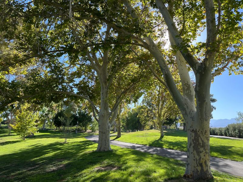 Trails For Walkers, Riders, And BMX Daredevils