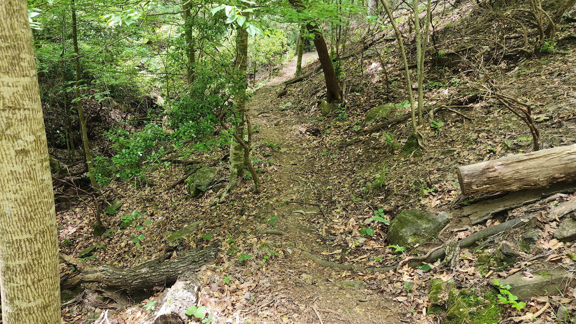 Coosa Wildlife Management Area