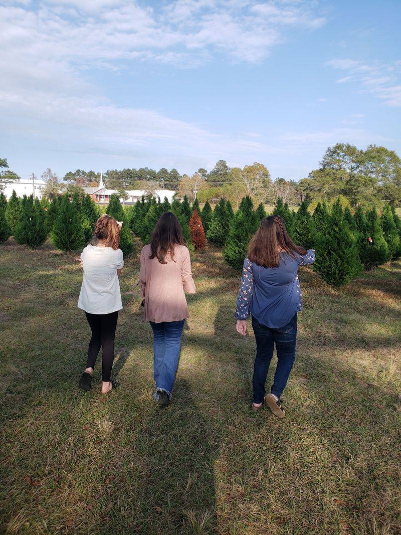 Smith tree farm, Moselle, MS