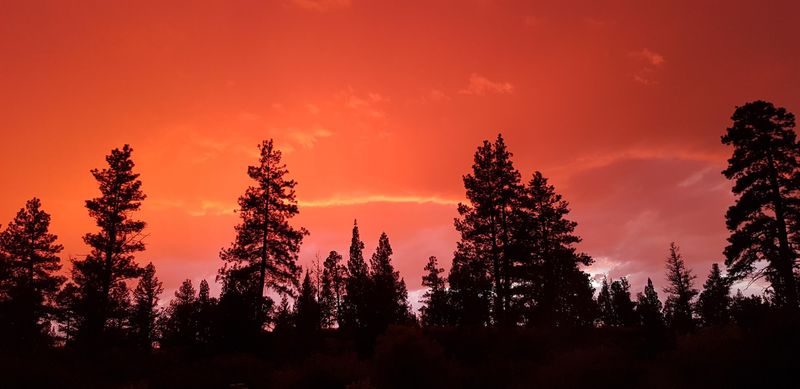 Tumalo State Park