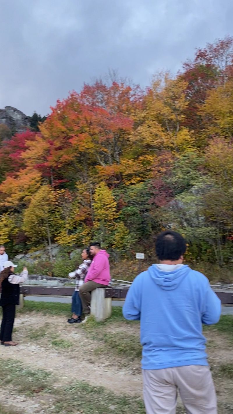 Smart Moves For Leaf Season Crowds
