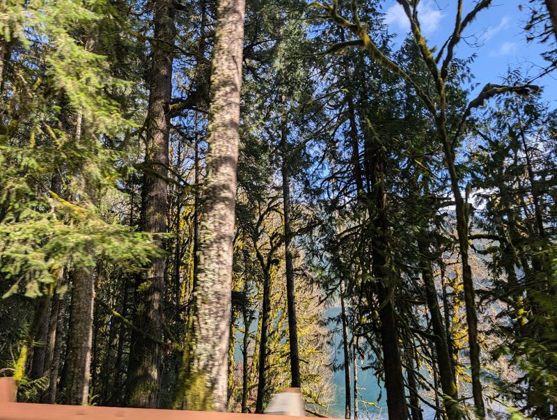 Climbing High For A Bird's-Eye View