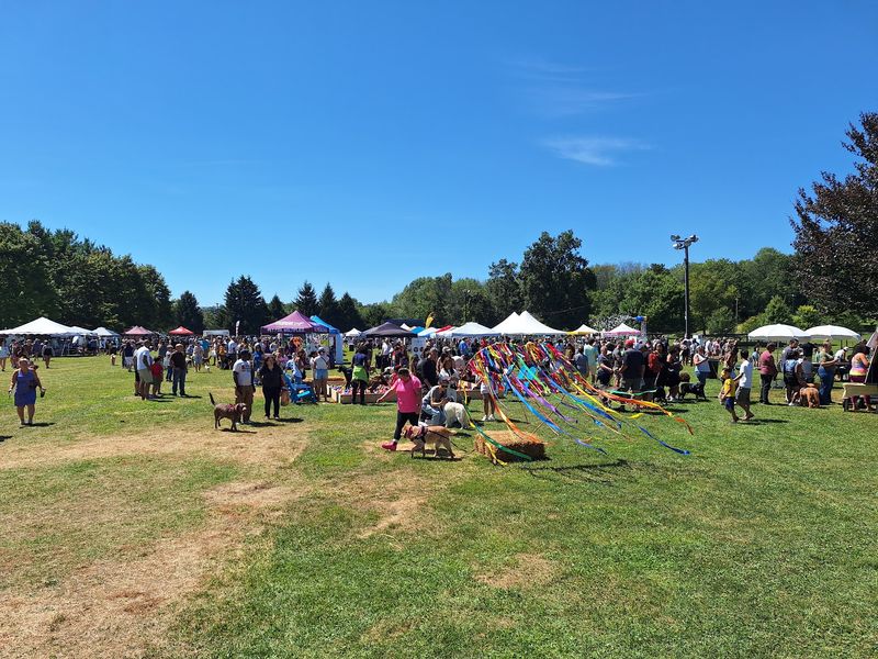 Sussex County Harvest, Honey & Garlic Festival, Augusta