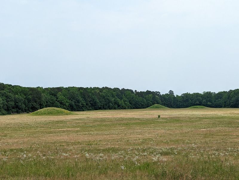 Pharr Mounds