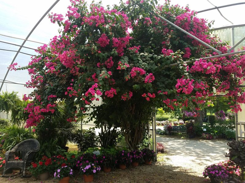 Exploring the Rest of the Nursery