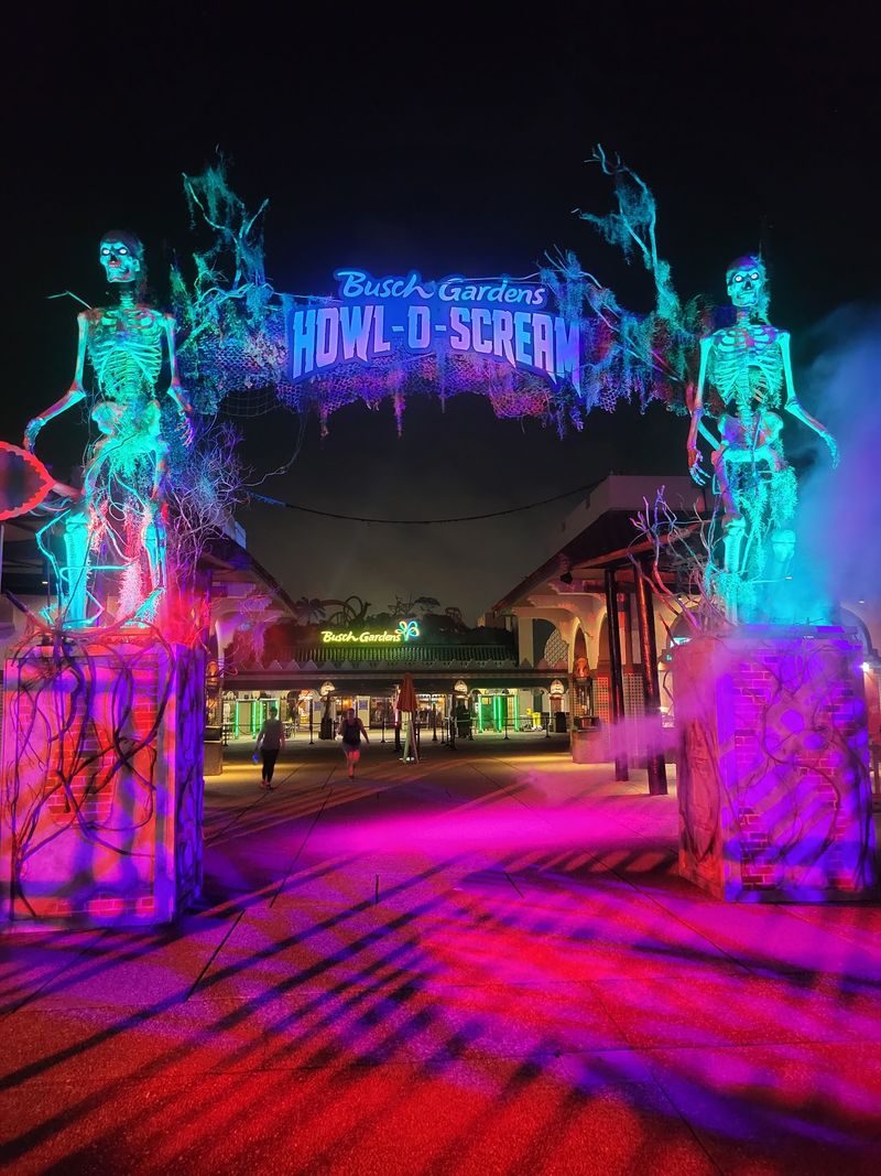 Front-Of-Line Passes And Ticket Savings