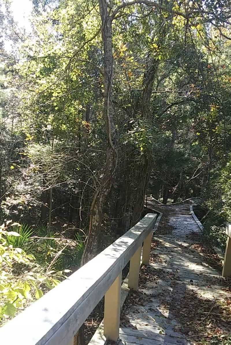The Nature's Way Loop Boardwalk