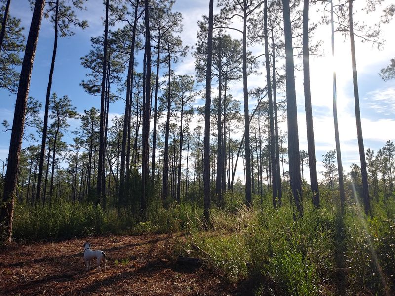 Who Feels At Home On These Trails