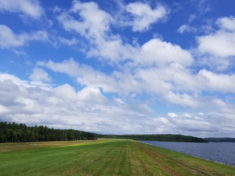 Trails, Trout, And Loons Along The Shore