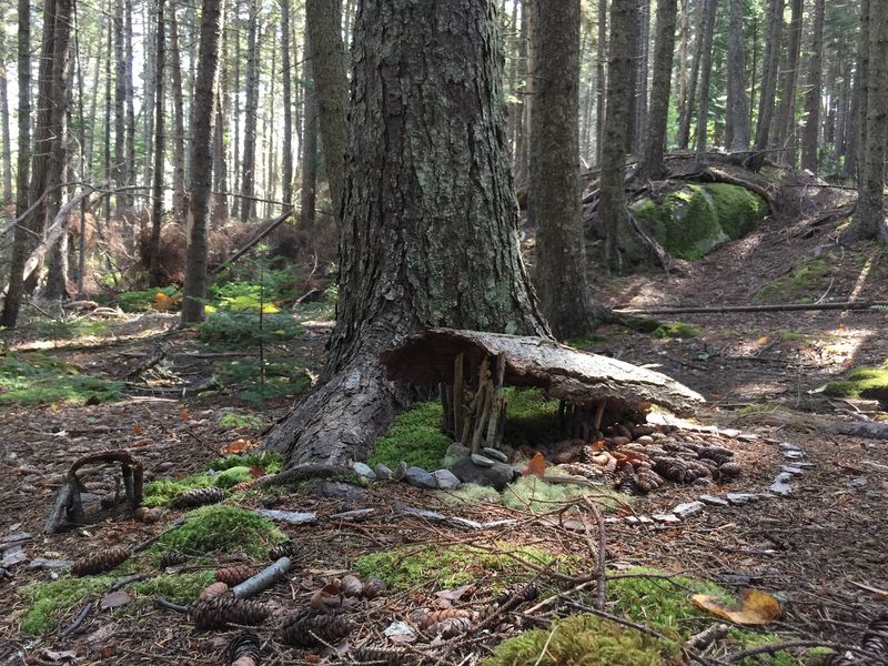 Fairy Houses Hidden In Cathedral Woods