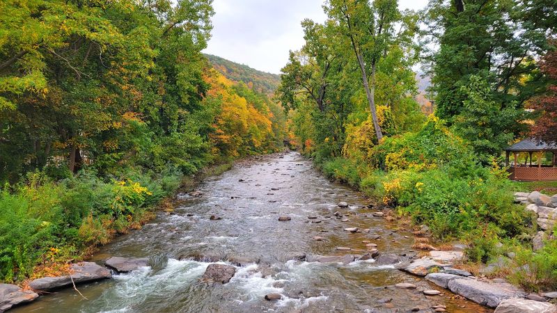 Pedal The Rails Beside A Rushing Creek