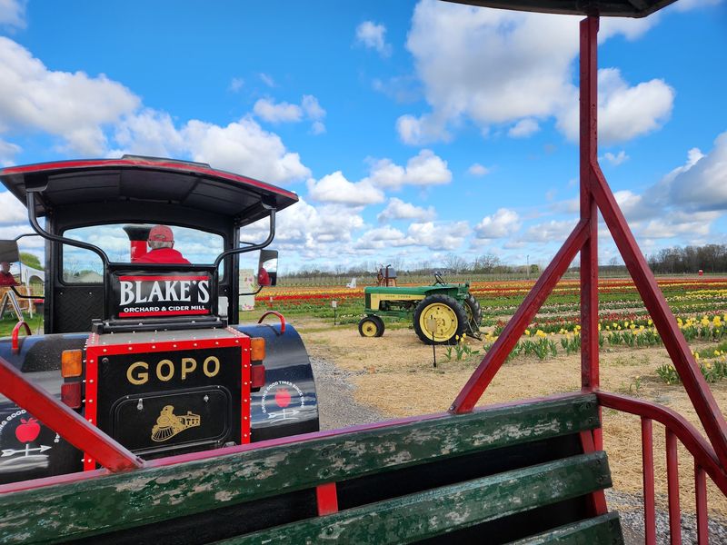 Hop On A Hayride And Let The Tractor Do The Work