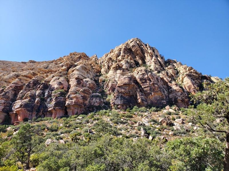 Ancient Stories Are Carved Into These Rocks