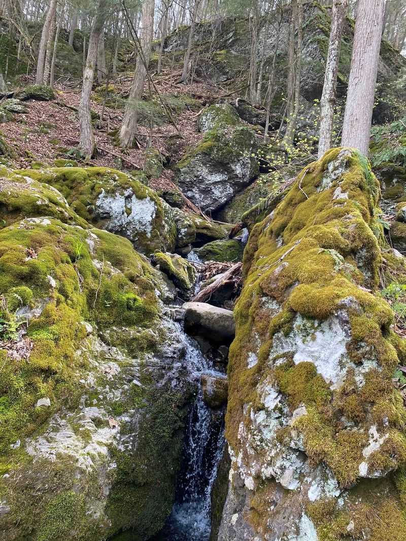 Splashing Sounds At Roaring Falls