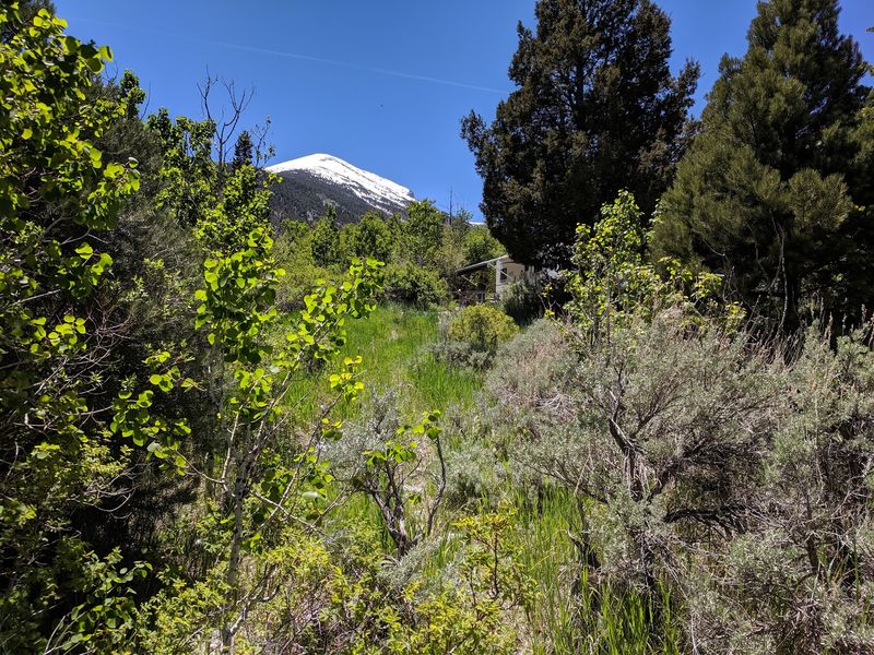 Trails, Lakes, And Ancient Trees