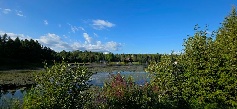 Lake Views That Ask You To Linger