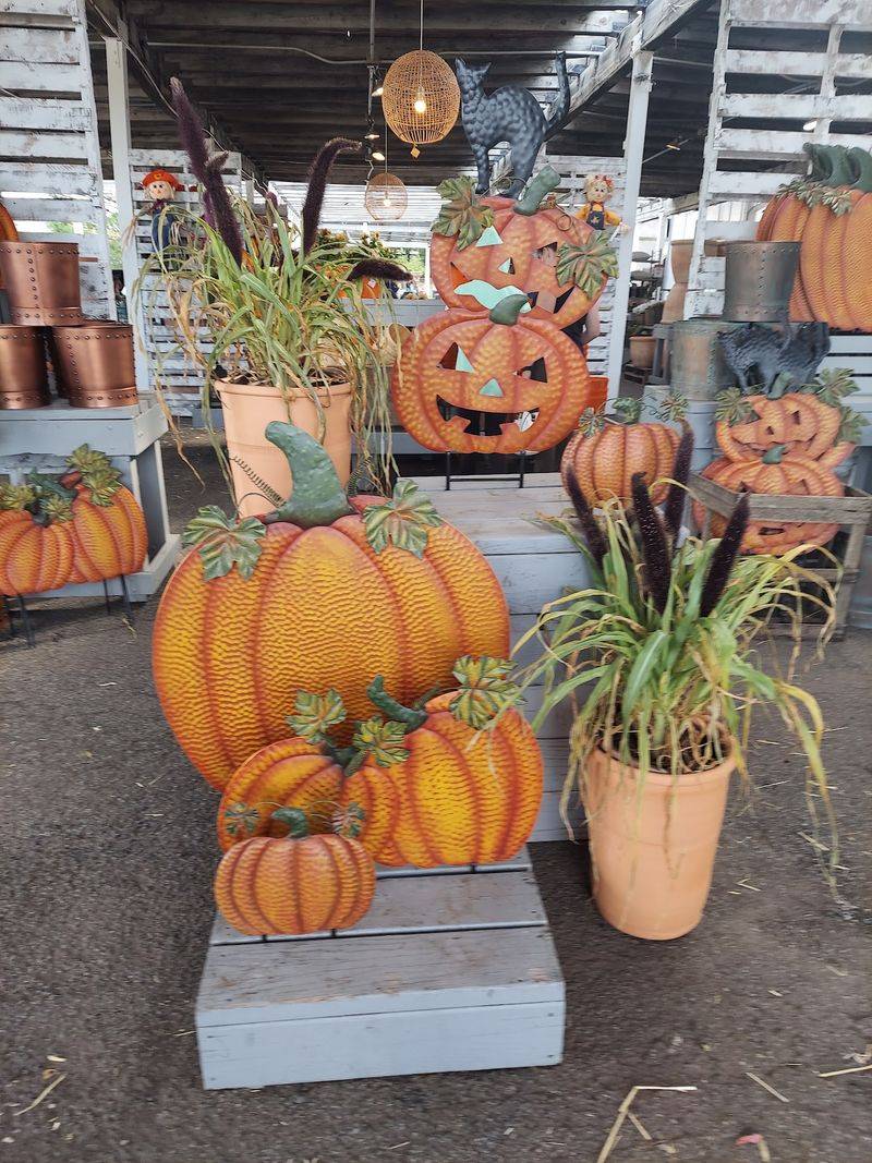 Fall Fun Takes Root
