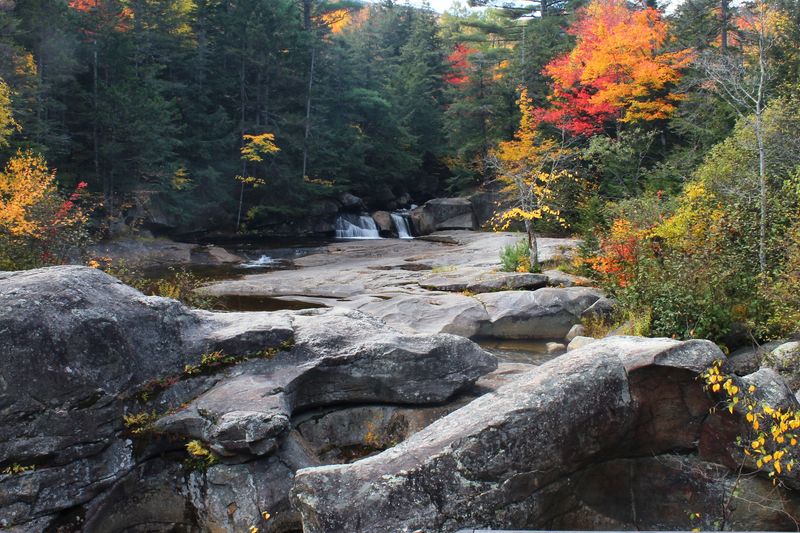 Rock Hopping Made For Explorers