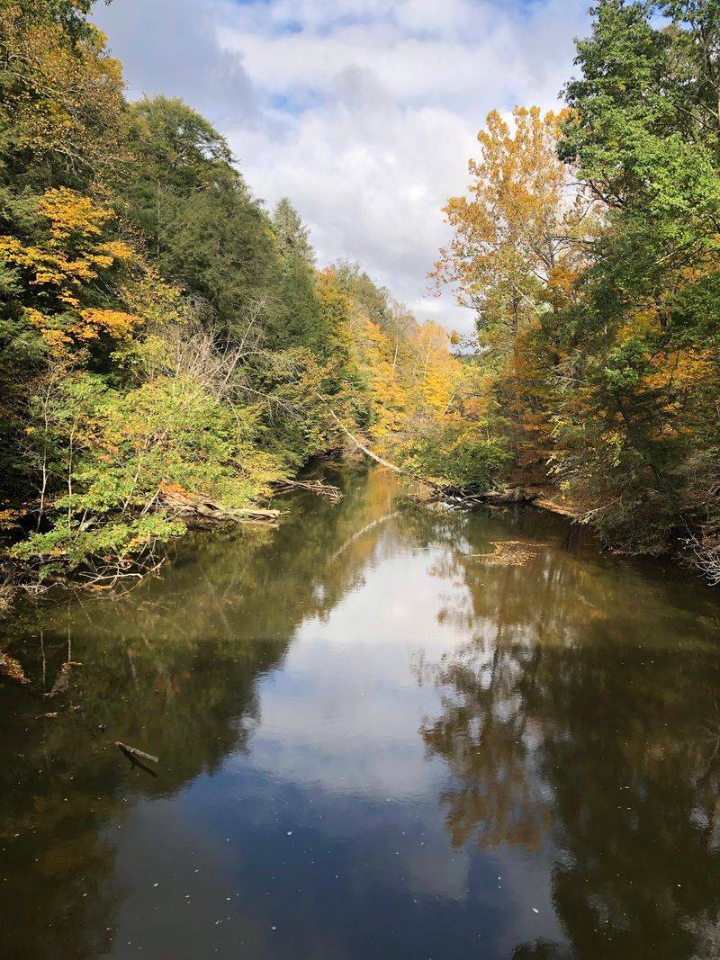 Kayaks, Canoes, and Tubes Downstream