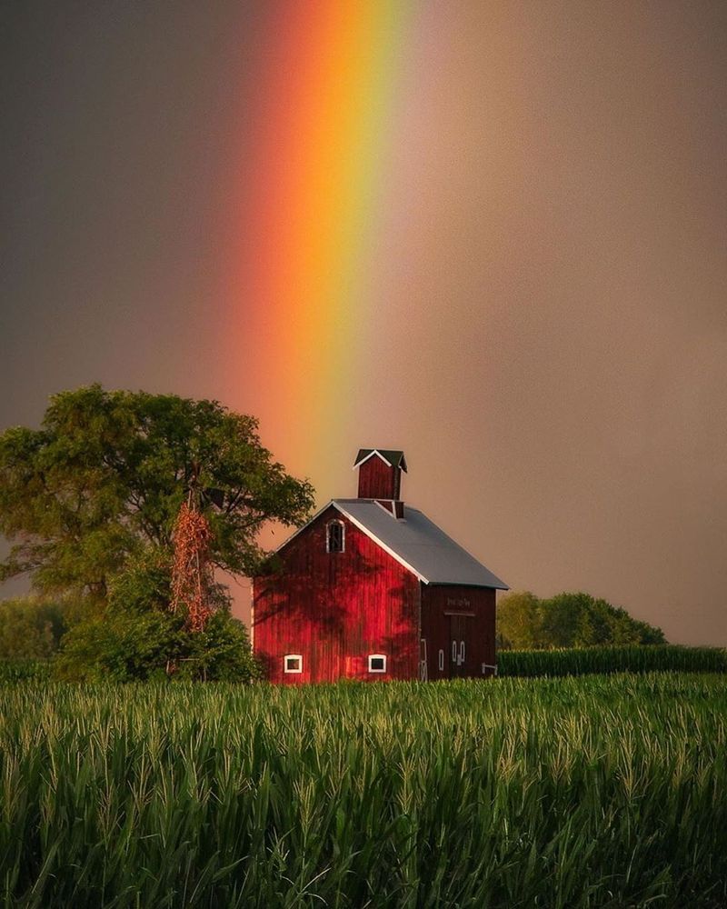 Geneseo
