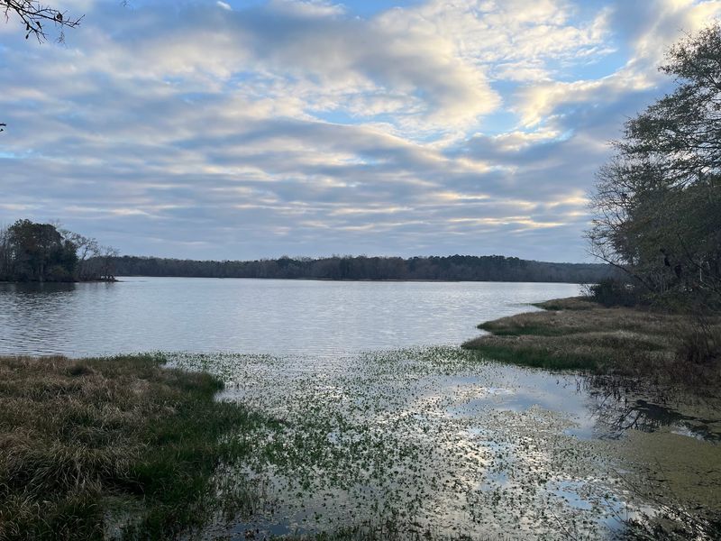 Lakepoint State Park