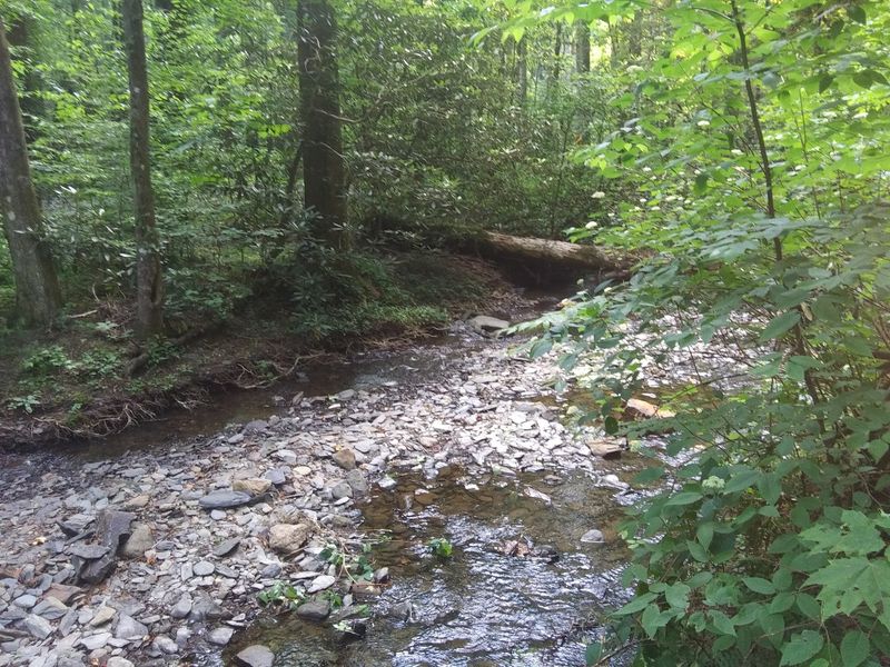 From Red Moonscape To Rolling Green Forest