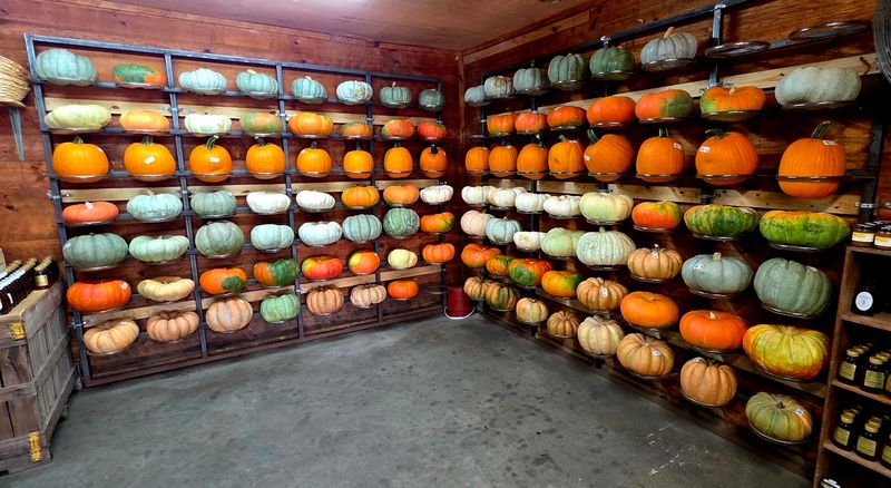 Jaemor Farms