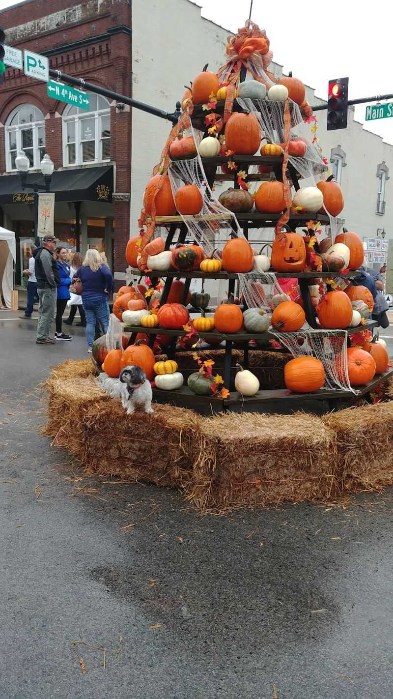 KidZone Games, Pumpkin Carving, And Live Music