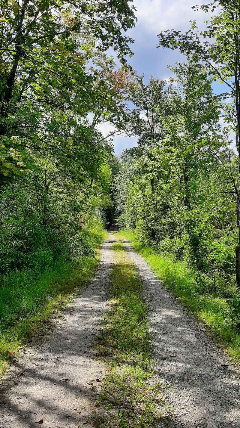Walking the 2.5-Mile Stretch