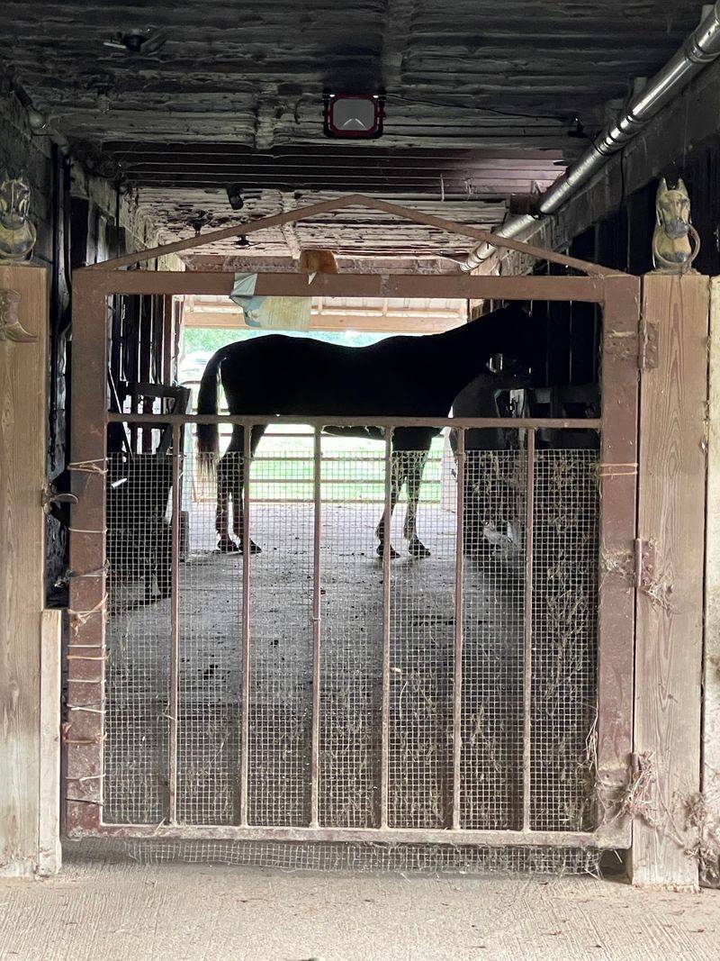 Roomy Stalls For Tired Travelers
